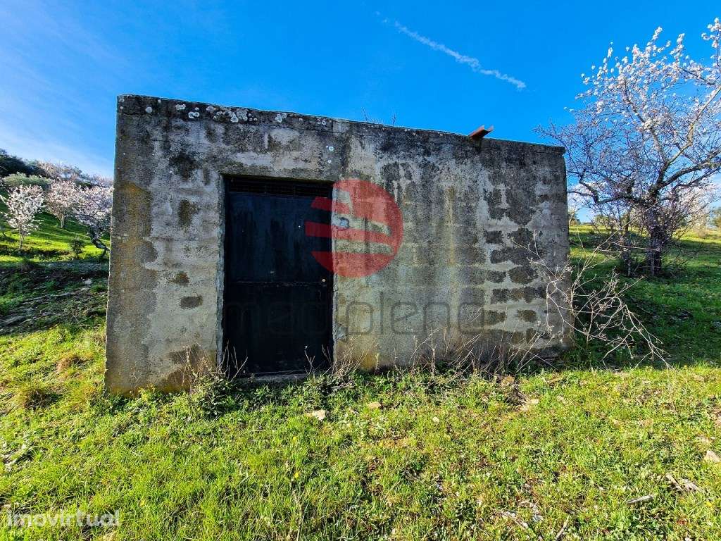 TERRENO RÚSTICO - Grande imagem: 3/11
