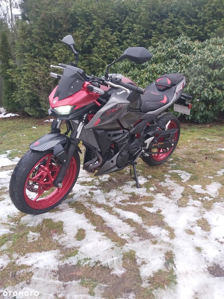 Kawasaki Z - 15