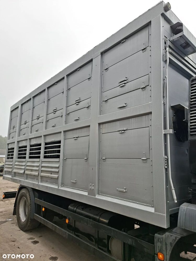 MAN TGM 18.250 4x2 DO ŻYWCA - 19