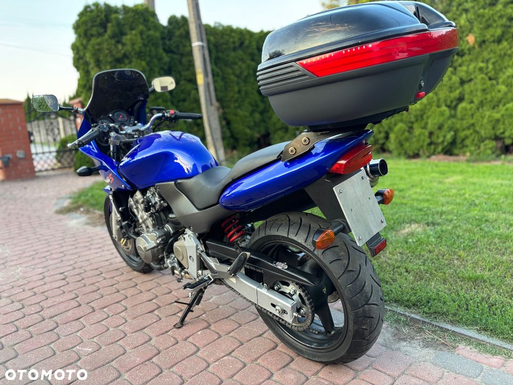 Honda Hornet - 10
