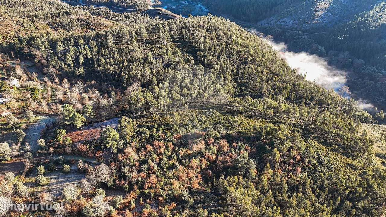 Terreno  para venda - Grande imagem: 5/13