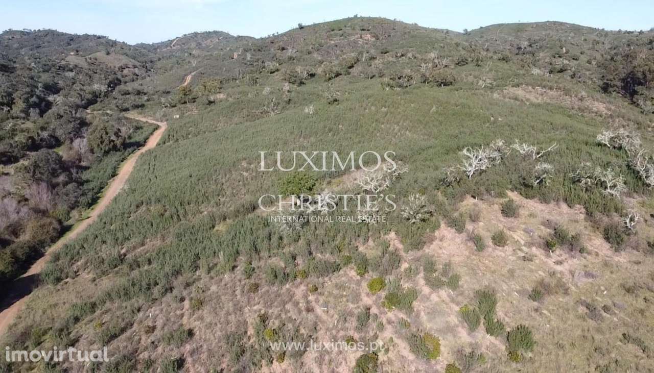 Terreno com projeto aprovado para venda em Silves, Algarve - Grande imagem: 4/15