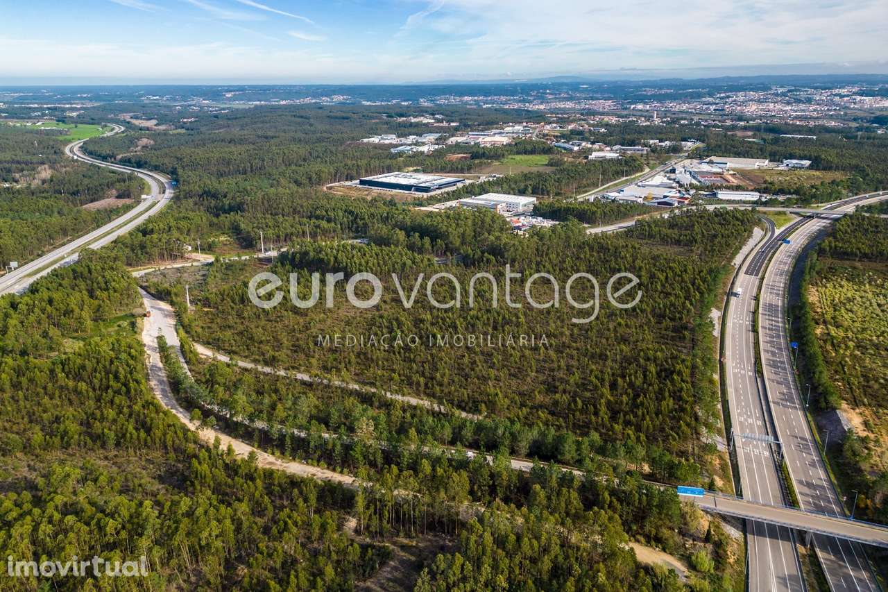 TERRENO PARA INDÚSTRIA- BAROSA - LEIRIA - Grande imagem: 4/14