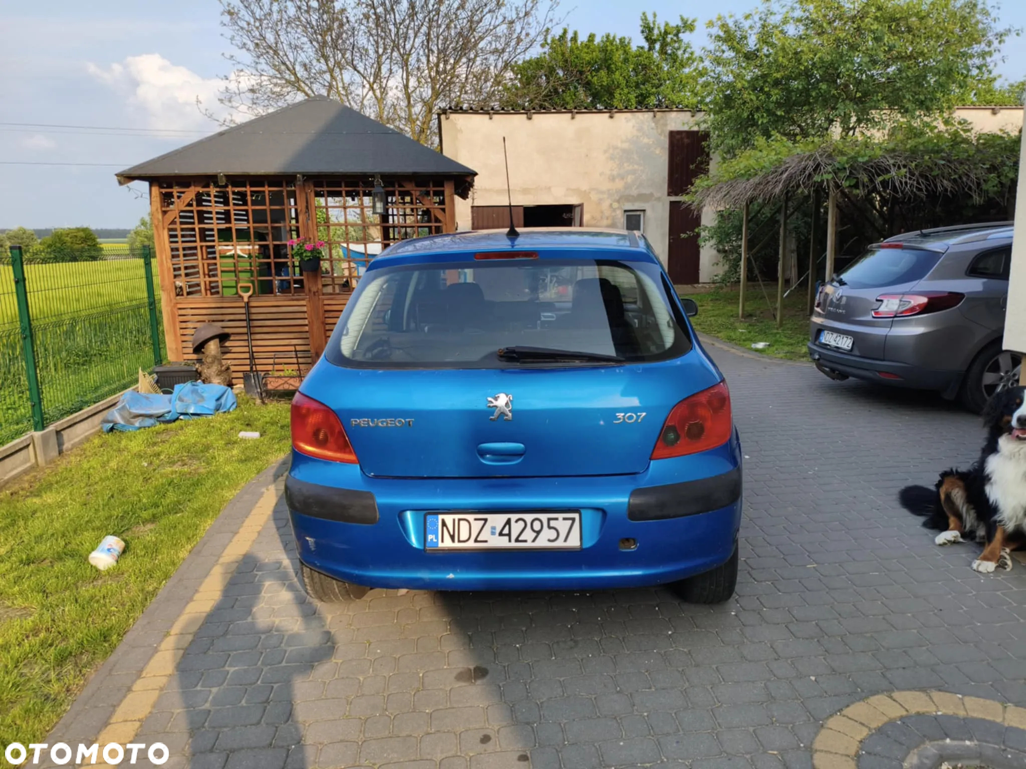 Peugeot 307 1.6 - 2