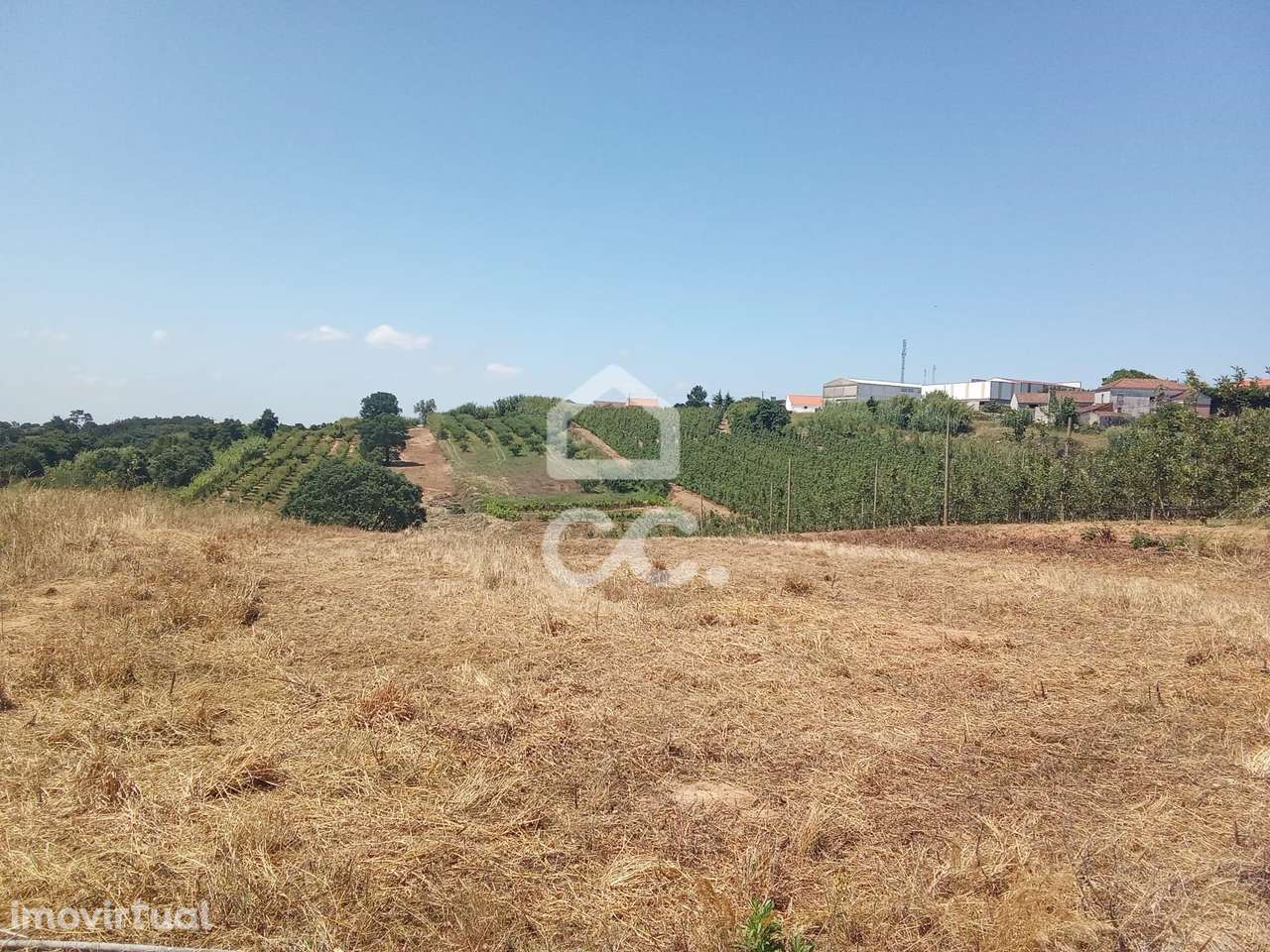 Terreno Rústico com 3.880 m² – Excelente Oportunidade em Usseira, a 3 - Grande imagem: 3/13