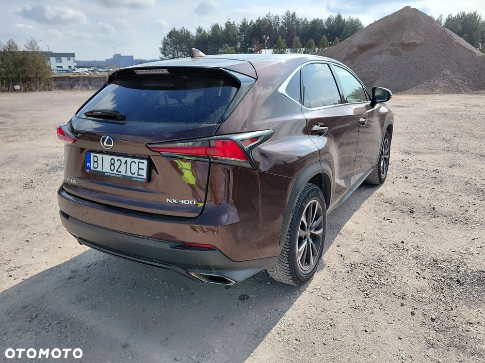 Lexus NX 300 Business Edition AWD - 6