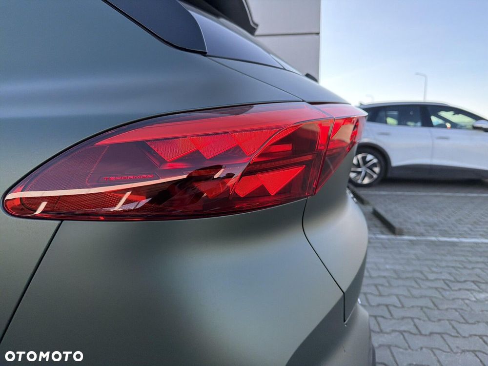 Cupra Terramar - 11