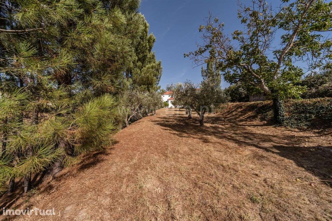 Moradia Isolada T4 / Covilhã, Barco - Grande imagem: 3/20