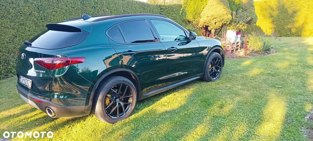 Alfa Romeo Stelvio - 6