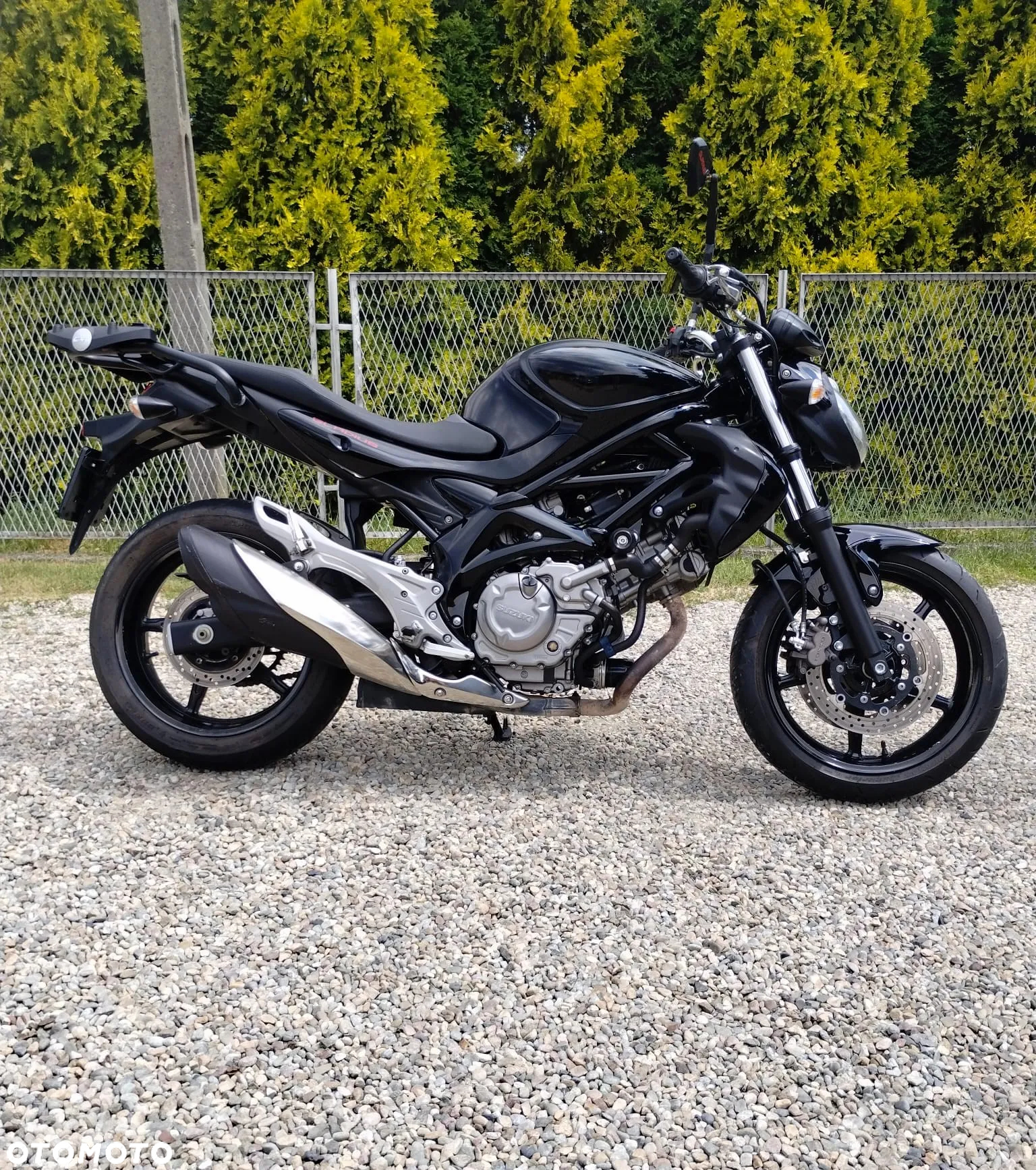 Suzuki Gladius - 5