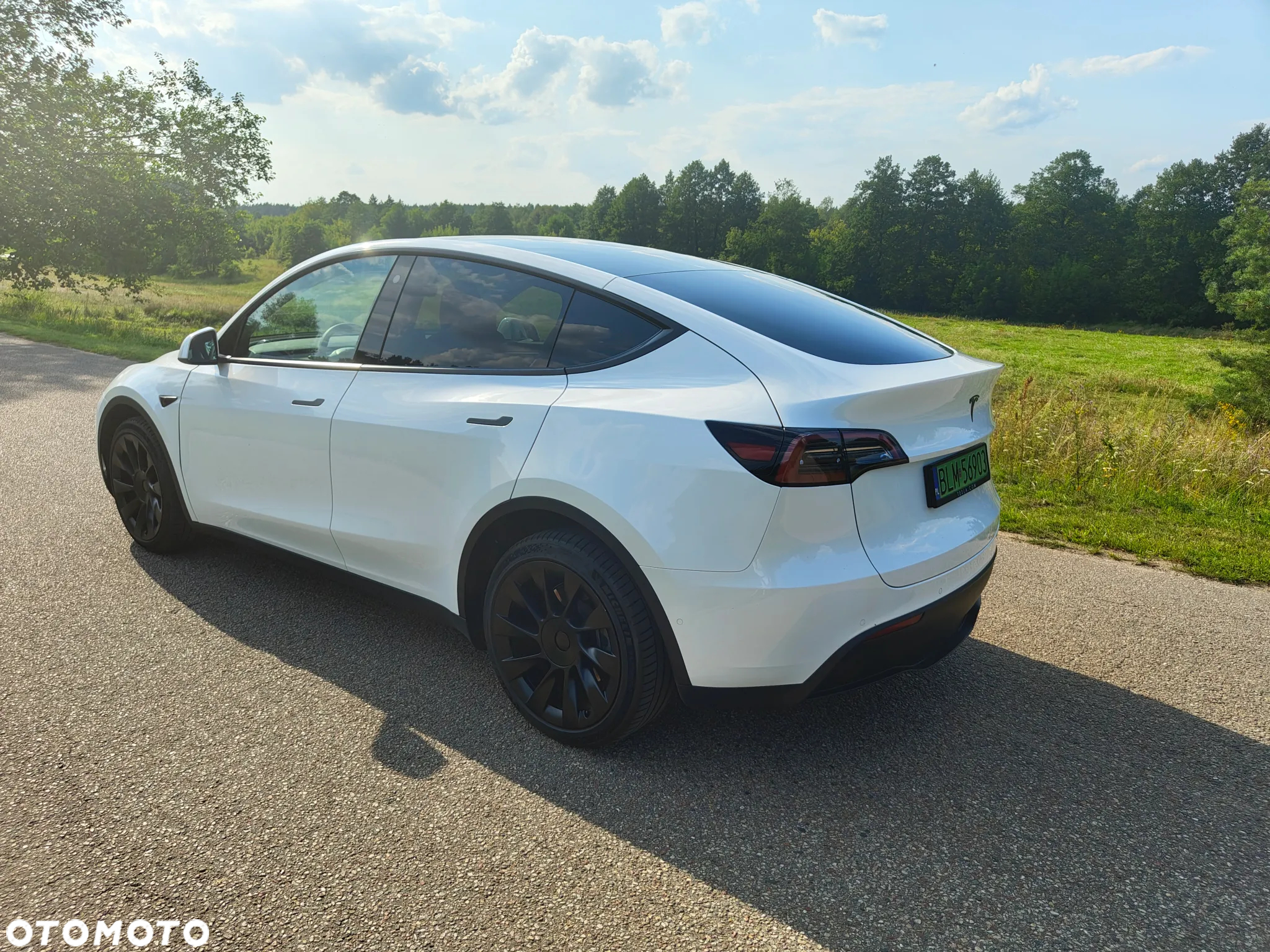 Tesla Y Model Long Range Dual Motor AWD - 11
