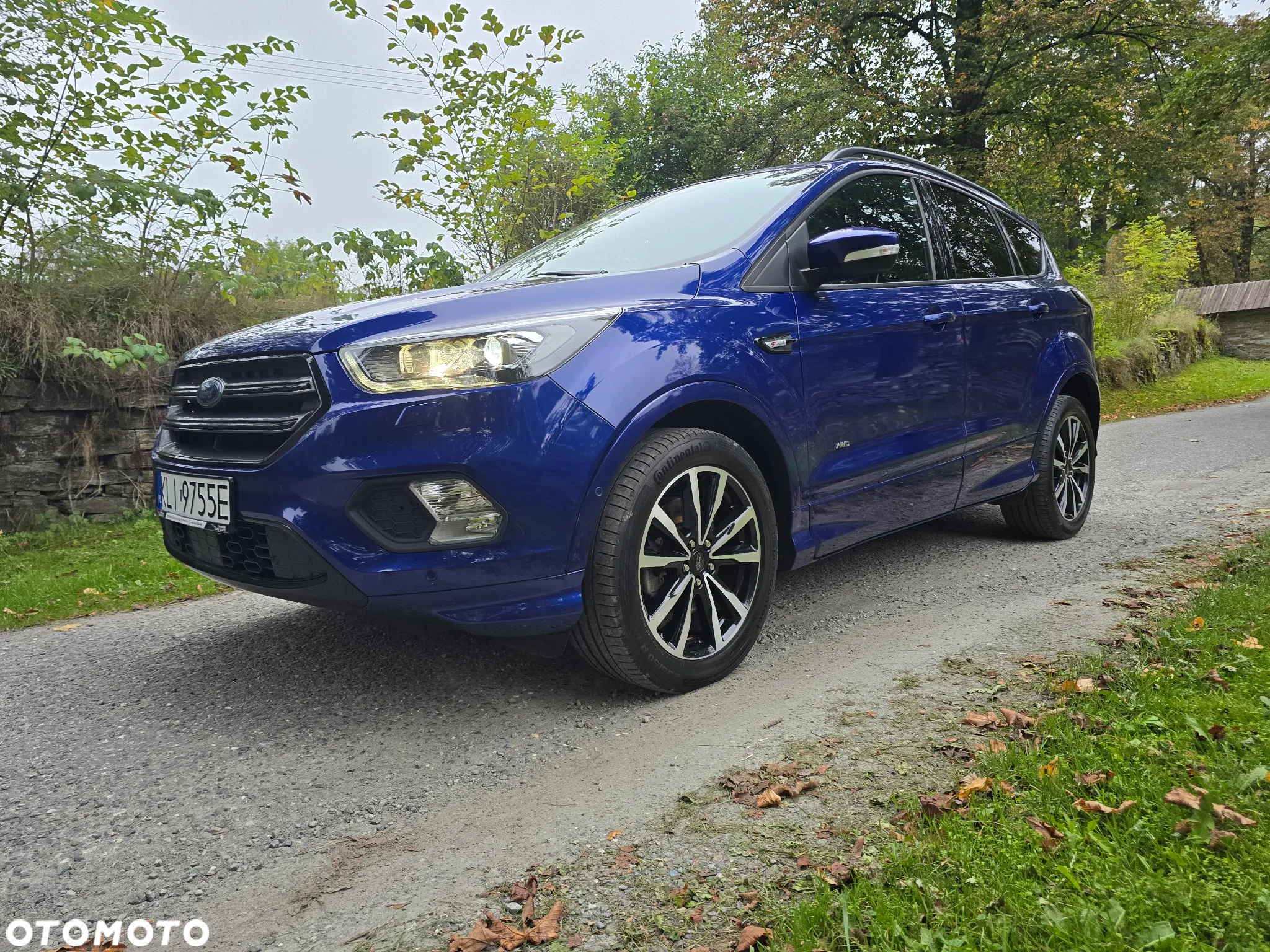 Ford Kuga 2.0 TDCi 4x4 ST-Line - 2