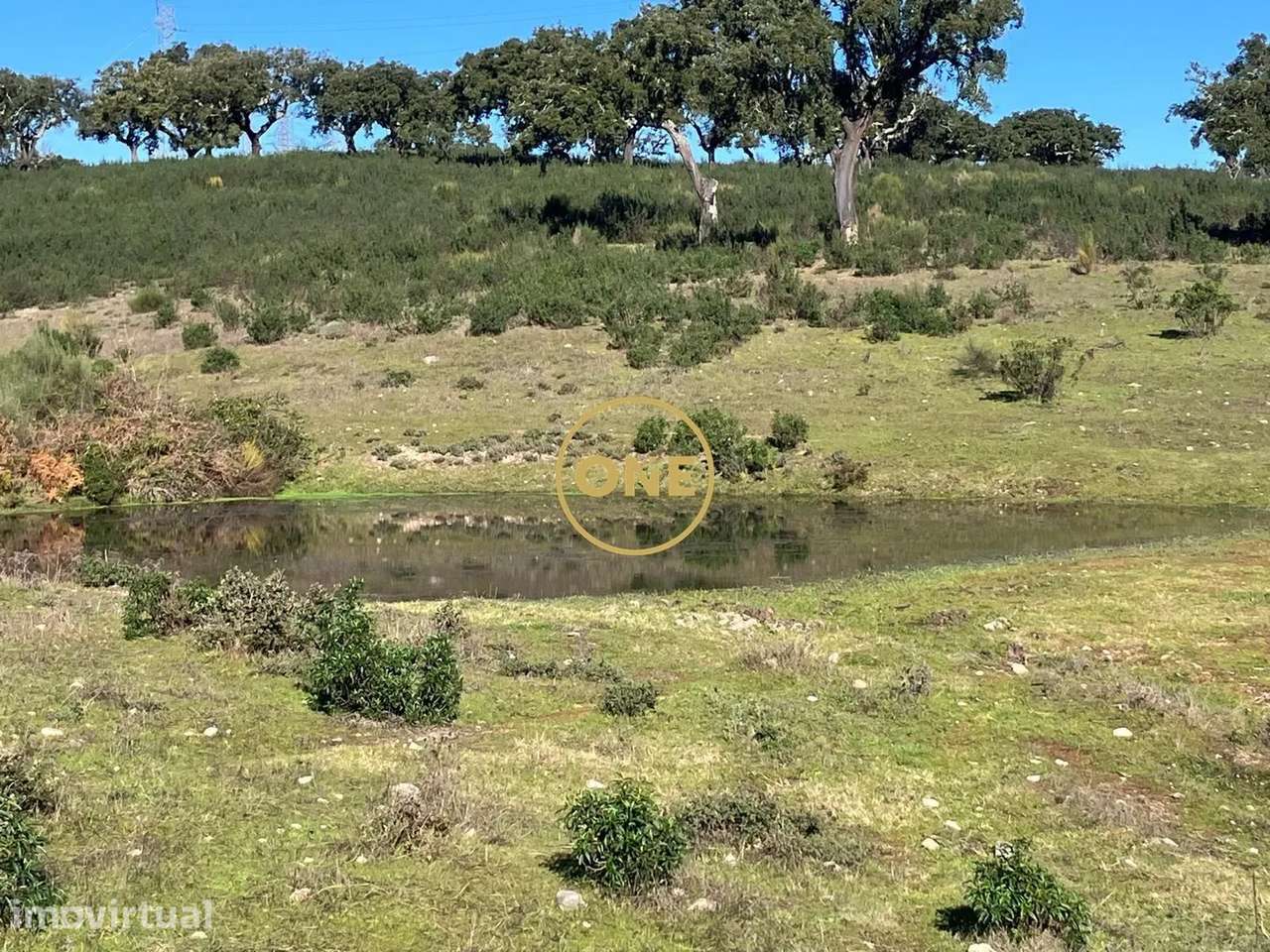 Herdade com 250,125 ha, junto á EN nº359, concelho de Nisa - Grande imagem: 4/6