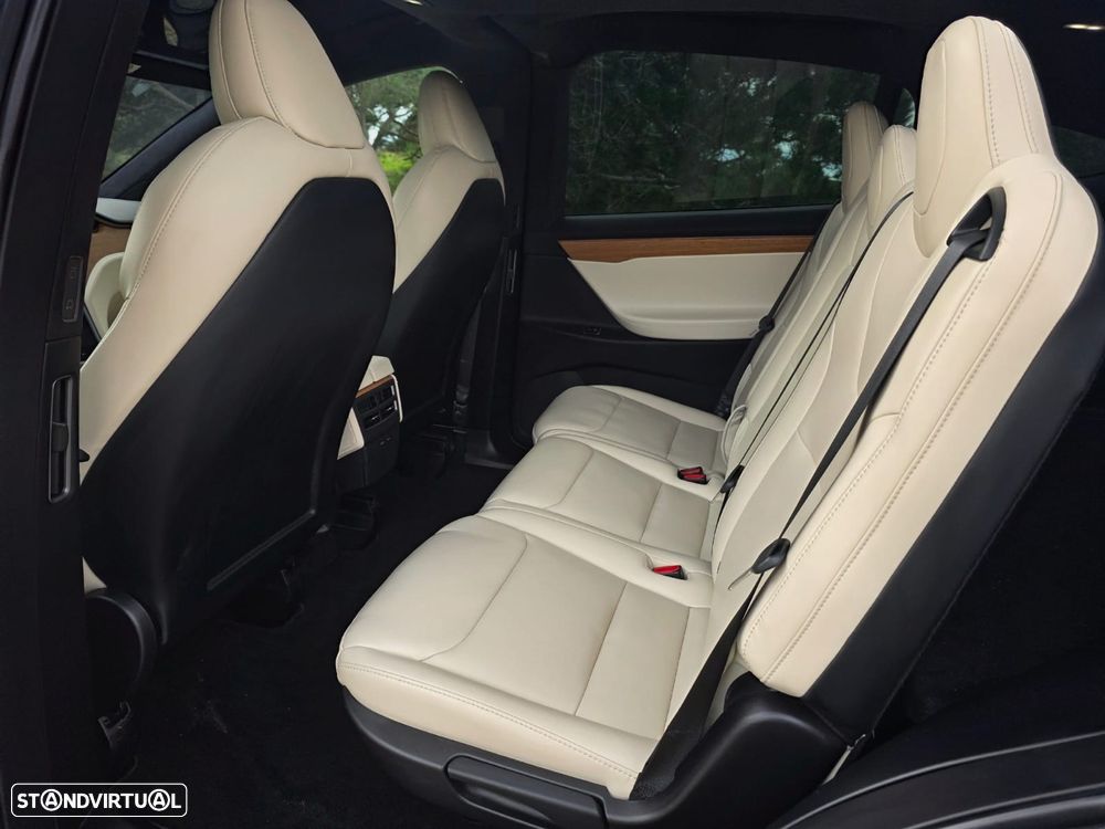 Tesla Model X P100D - 24