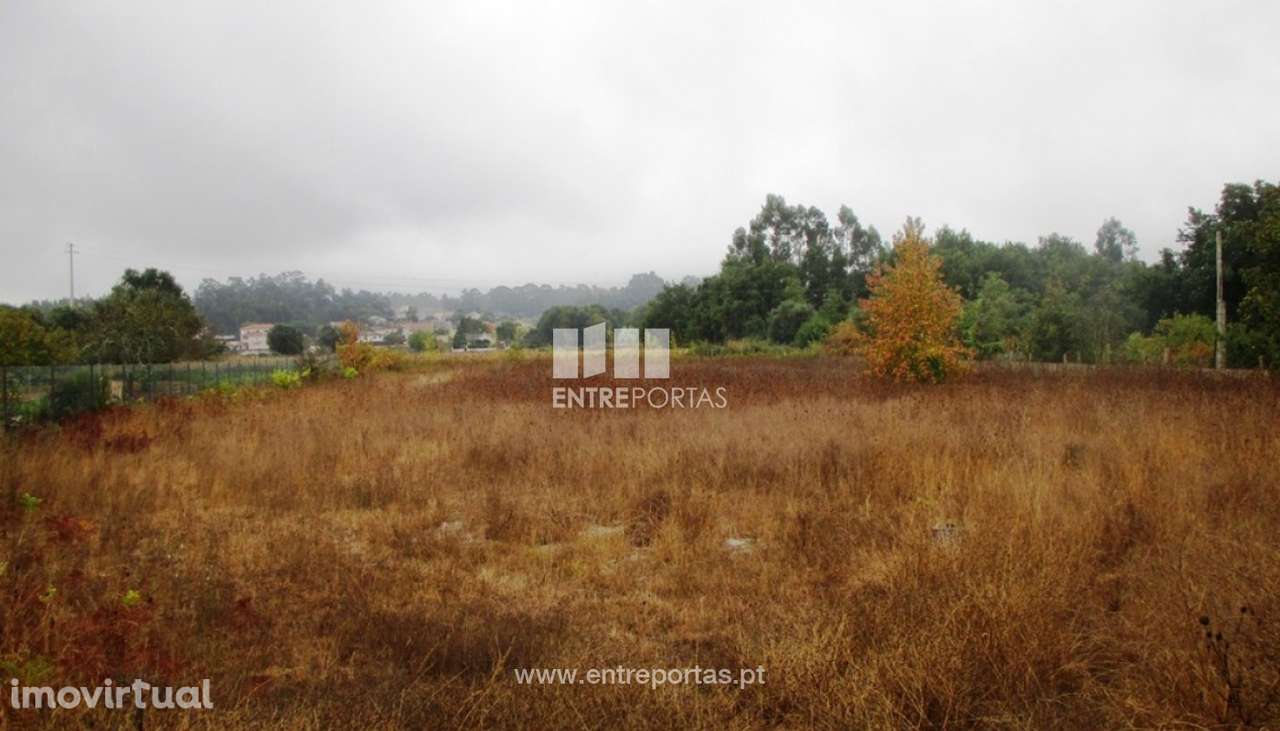 Terreno murado, Campos, Vila Nova de Cerveira - Grande imagem: 2/3