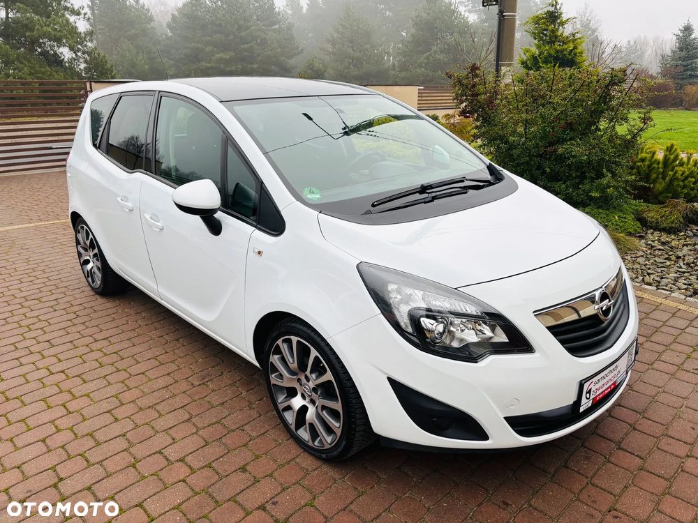 Opel Meriva 1.4 Ecoflex Color Edition - 14