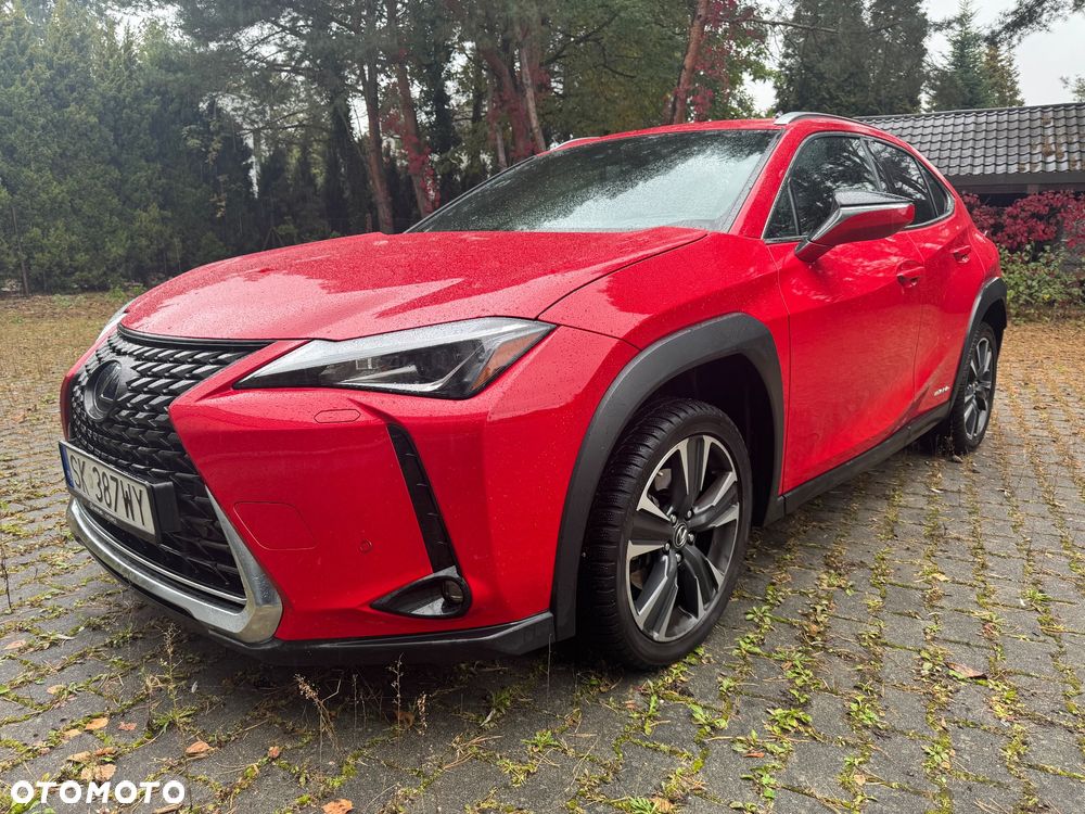 Lexus UX 250h GPF Business Edition 2WD - 27