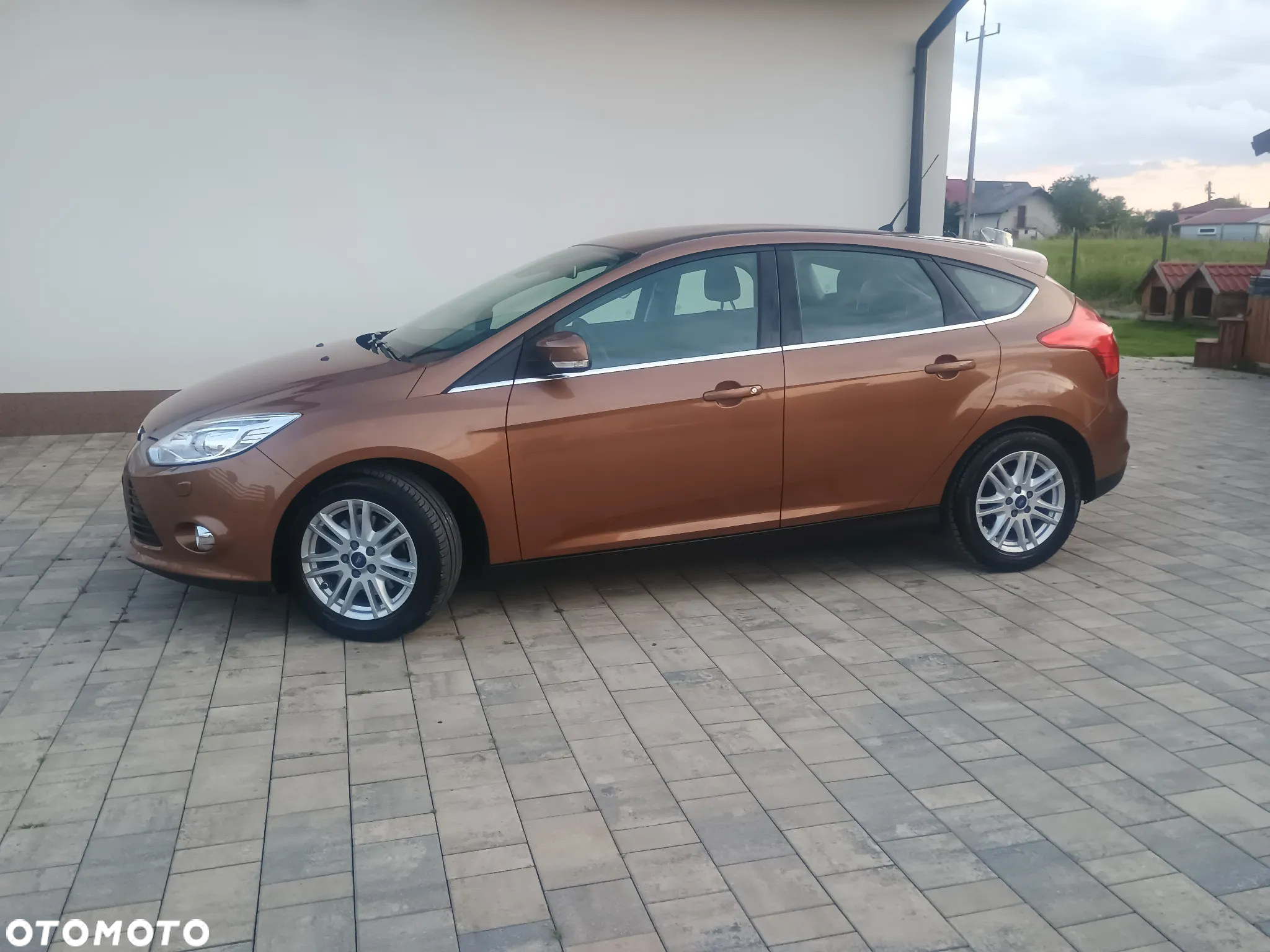 Ford Focus 1.6 EcoBoost Gold X (Trend) - 4