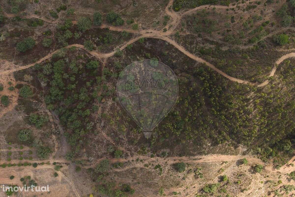 Quinta  para venda - Grande imagem: 5/44