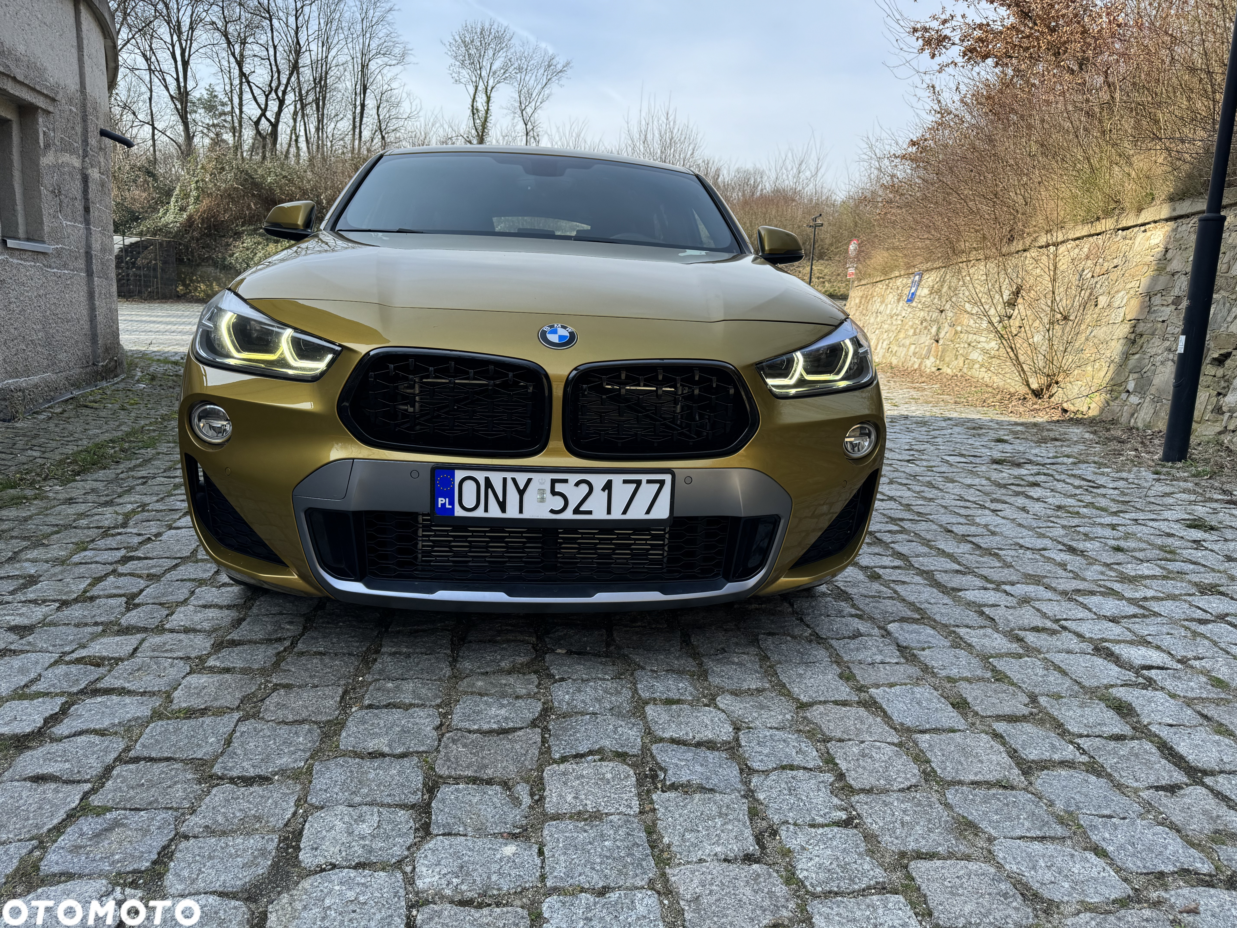 BMW X2 xDrive20i M Sport X - 12
