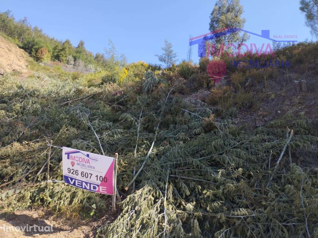 Terreno urbano com 1590m2 no centro de Castanheira de Pêra - Grande imagem: 2/16