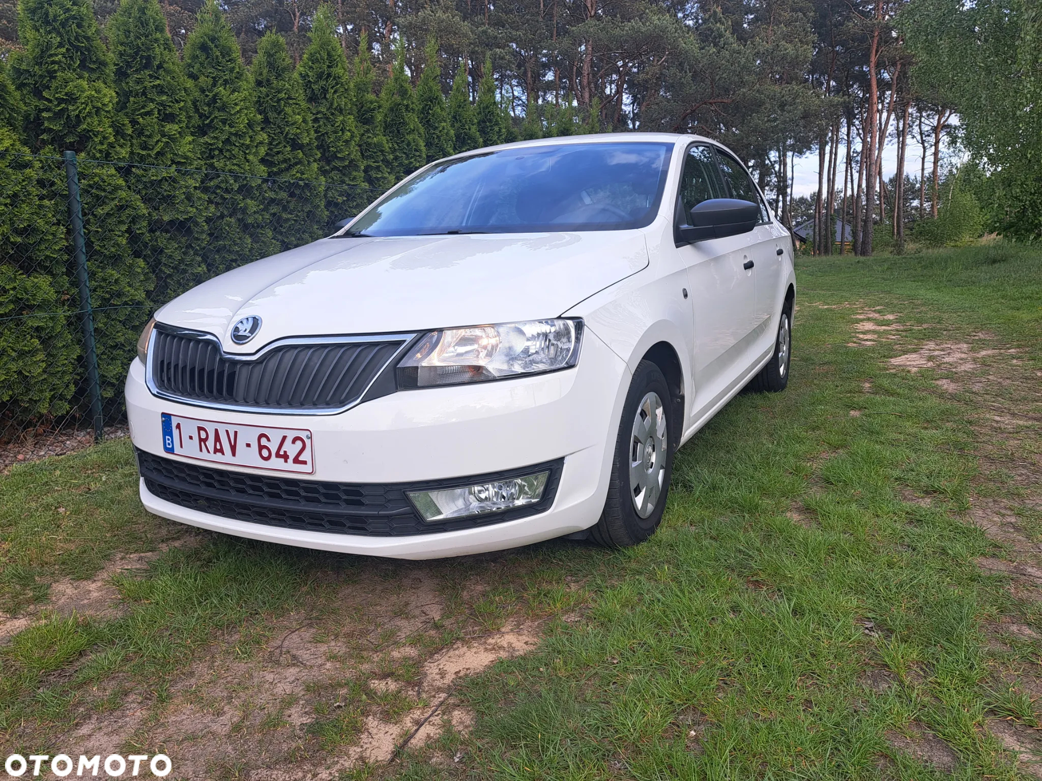 Skoda RAPID 1.2 MPI Ambition - 7