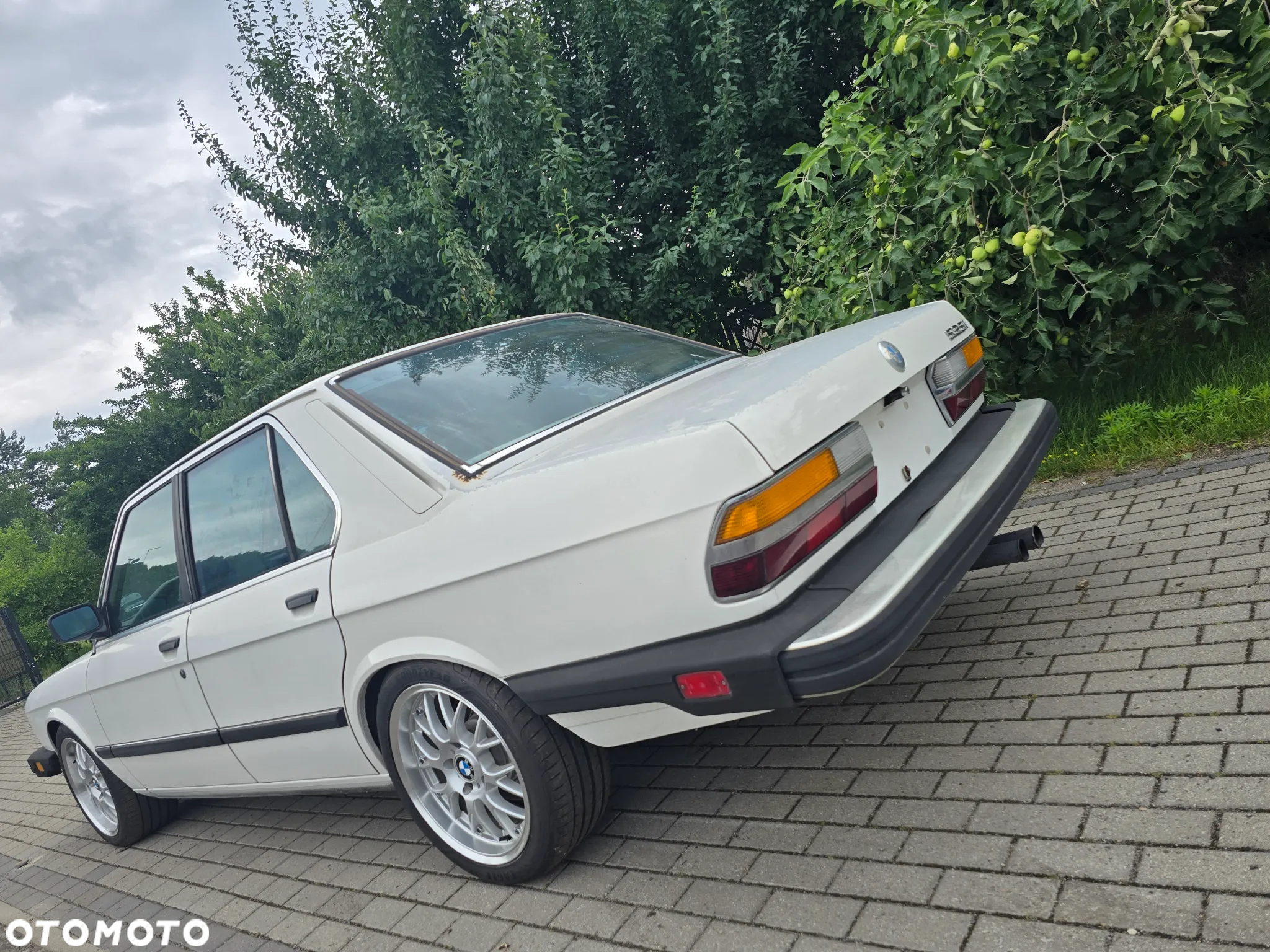 BMW Seria 5 - 6
