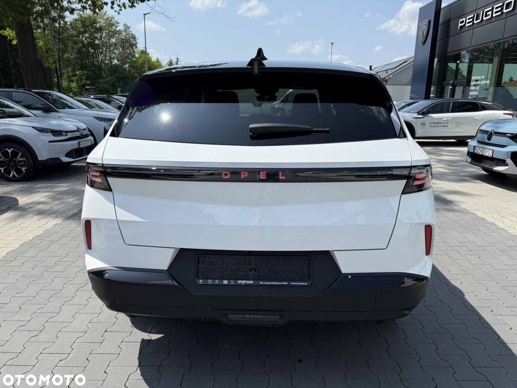 Opel Grandland - 6
