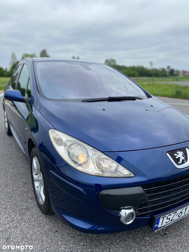 Peugeot 307 2.0 - 9