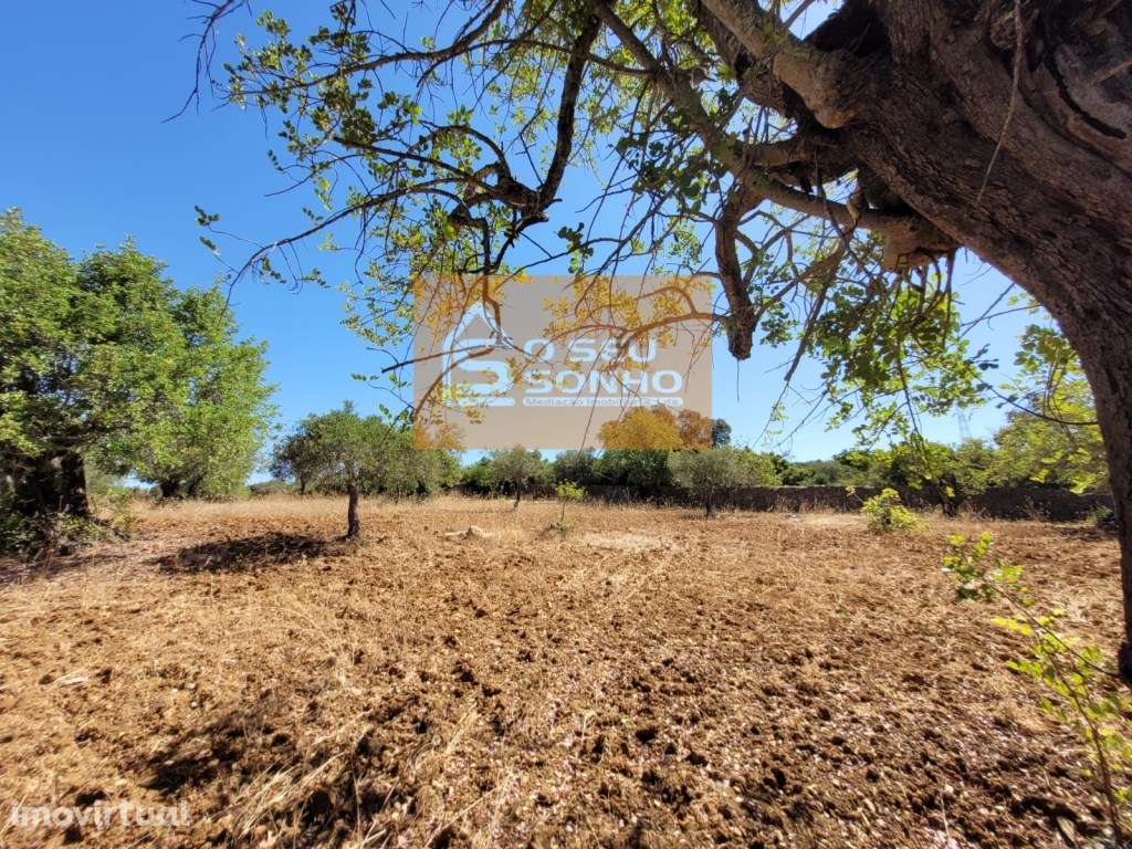 Terreno Rústico plano com acesso pedonal - 4.910 M² - Grande imagem: 2/12