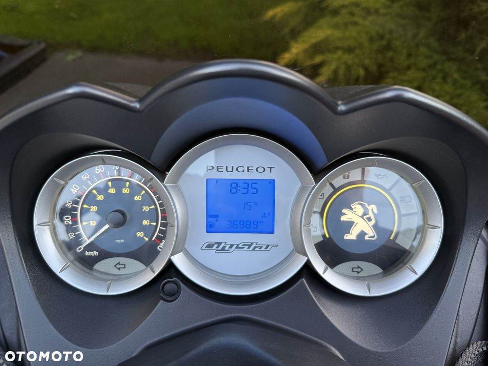 Peugeot Citystar - 11