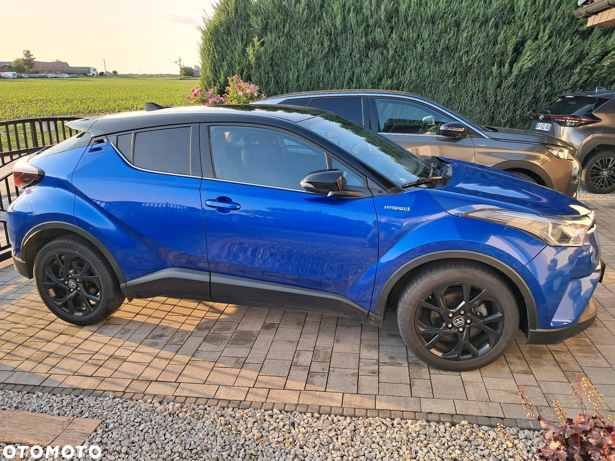 Toyota C-HR 1.8 Hybrid GPF Selection - 15