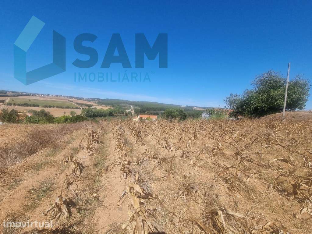 Terreno Urbanizável com 1.880 m² | Excelente Oportunidade em Campel... - Grande imagem: 4/11
