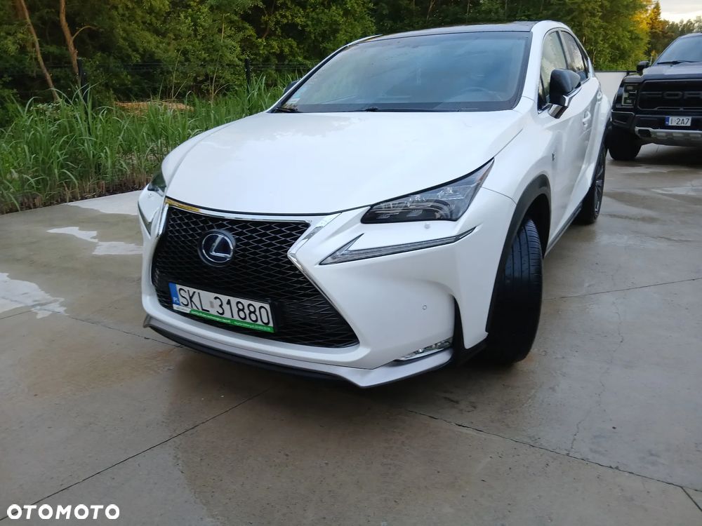 Lexus NX 300h F Sport AWD - 4