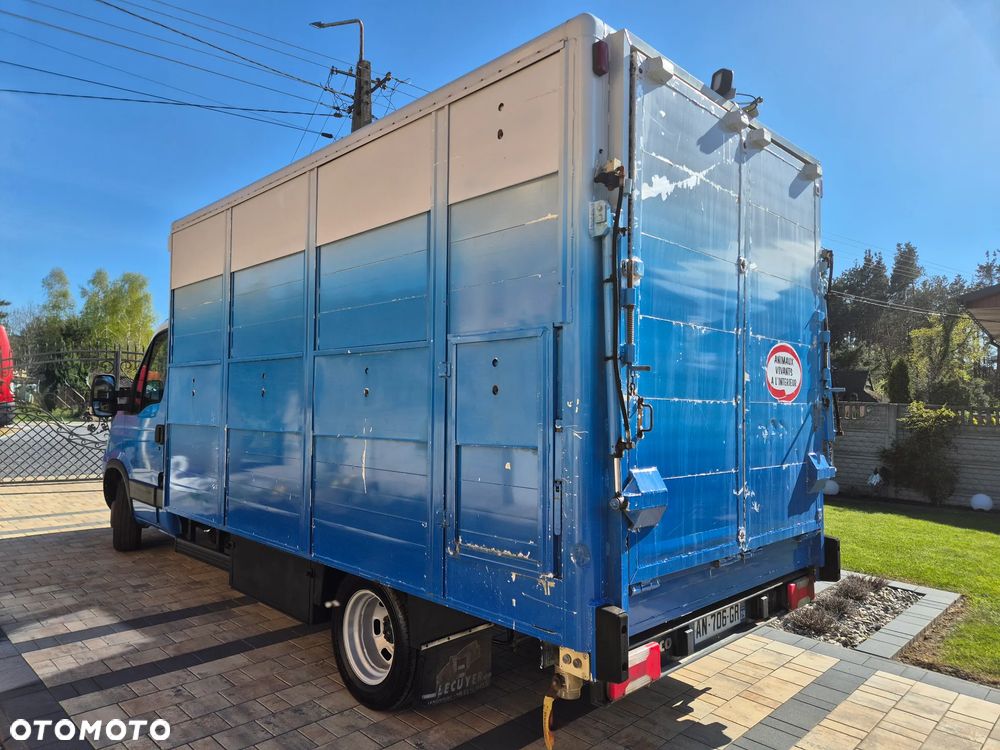 Iveco DAILY 40C18 180KM DO PRZEWOZU ZWIERZAT BYDŁA KONIOWÓZ - 7