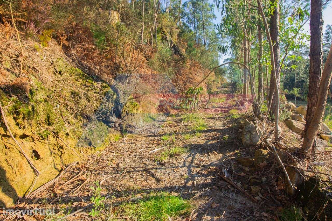 Terreno Florestal em Parada de Gatim, Vila Verde! - Grande imagem: 2/5