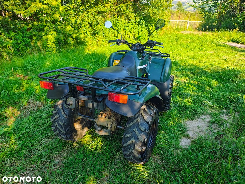 Kawasaki Brute Force - 7