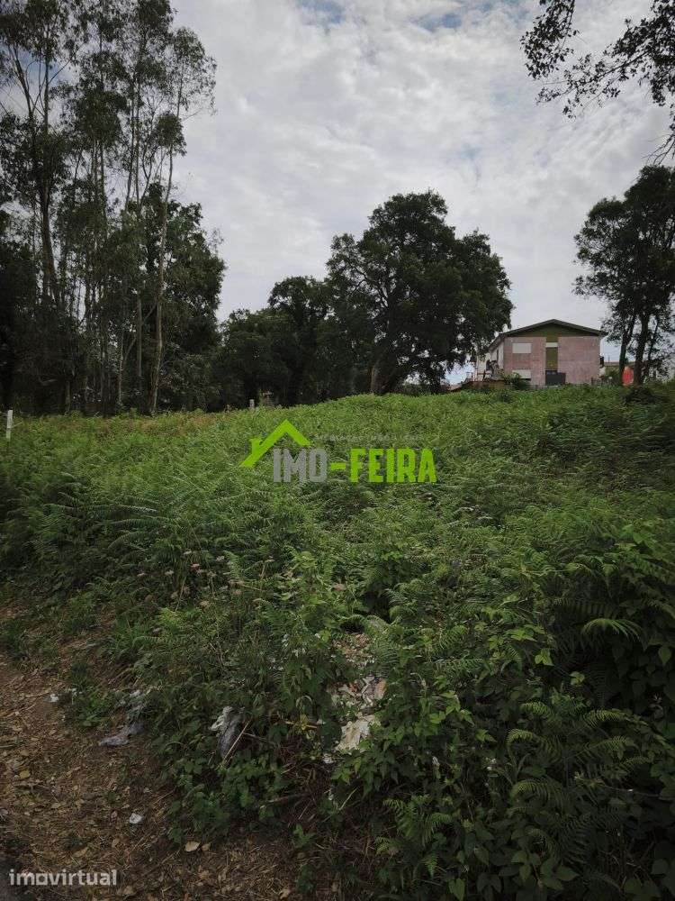 Terreno para Construção, Arrifana - Grande imagem: 4/6