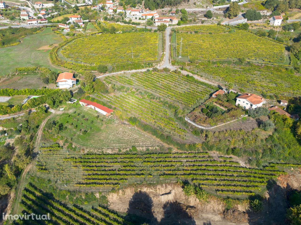 Quinta renovada com licença AL e 20000m² vinha em Mancelos, Amarante - Grande imagem: 4/60