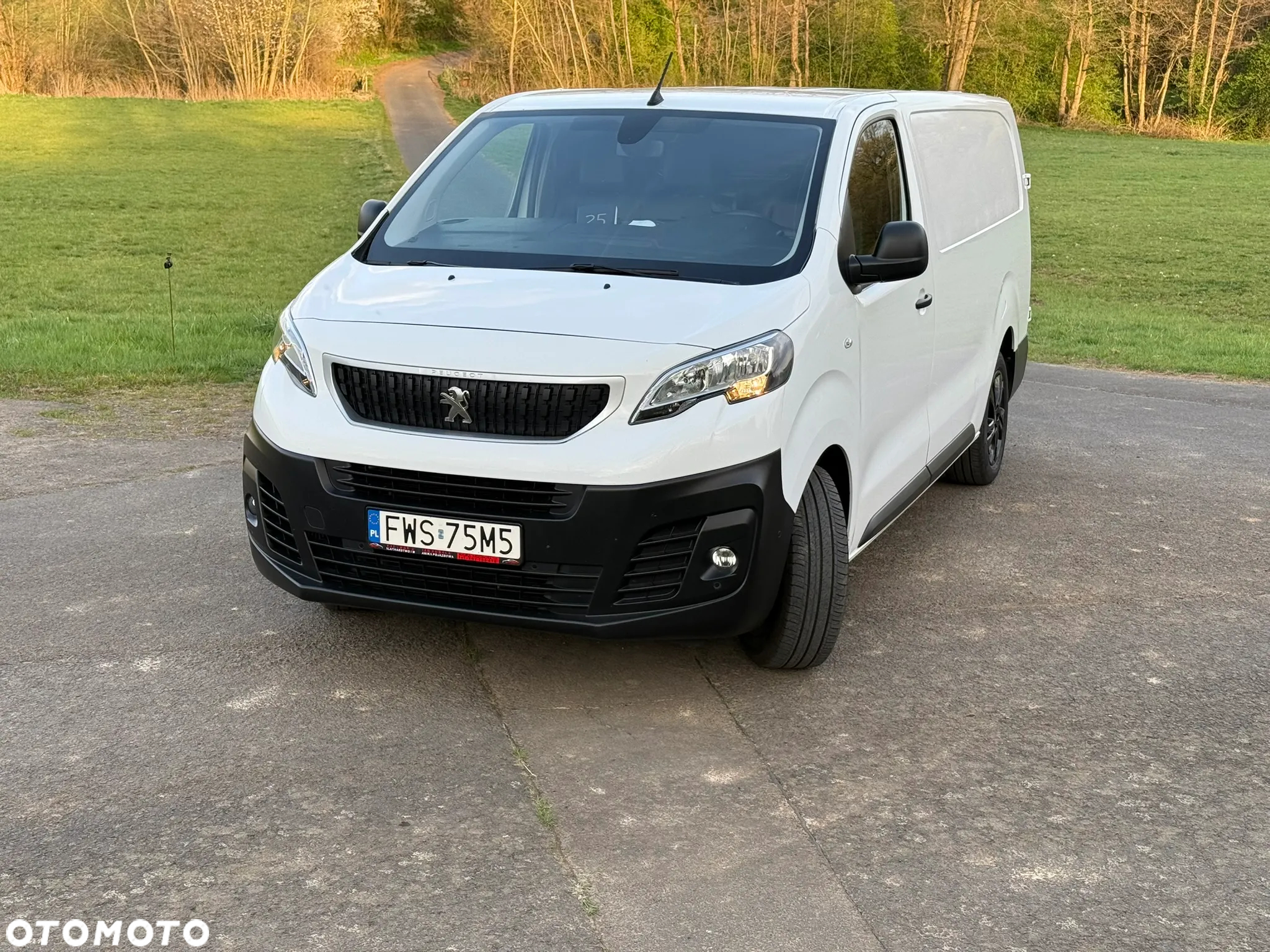 Peugeot Expert - 10