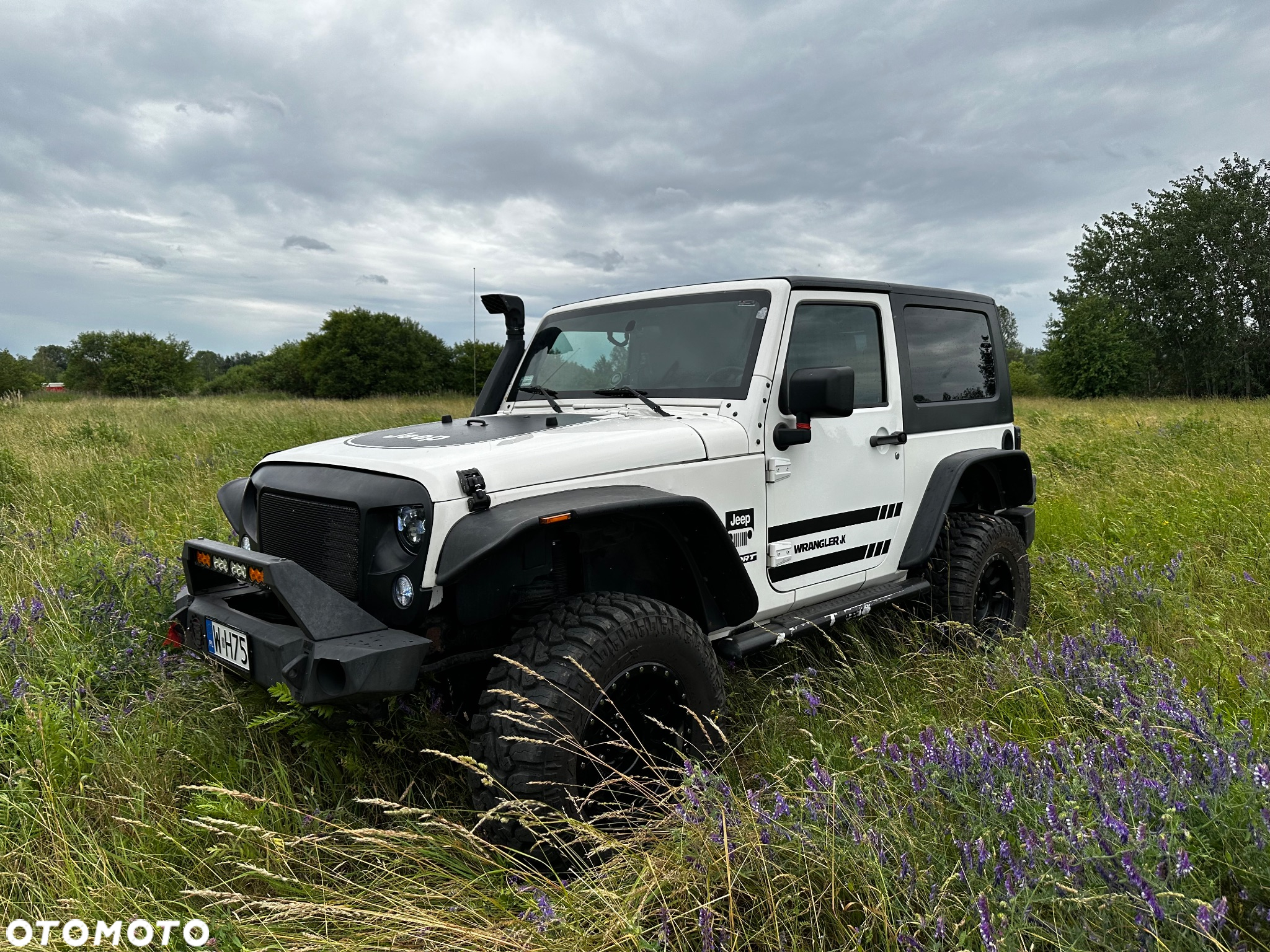 Jeep Wrangler 3.8 Sport