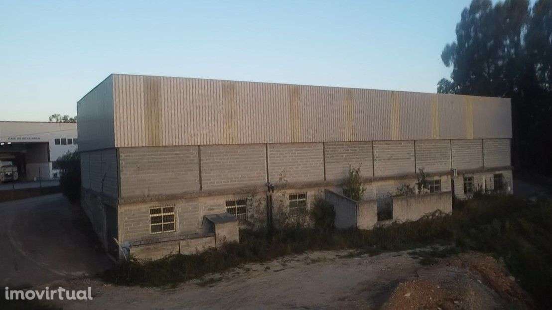 Pavilhão – Sever do Vouga - Grande imagem: 3/36