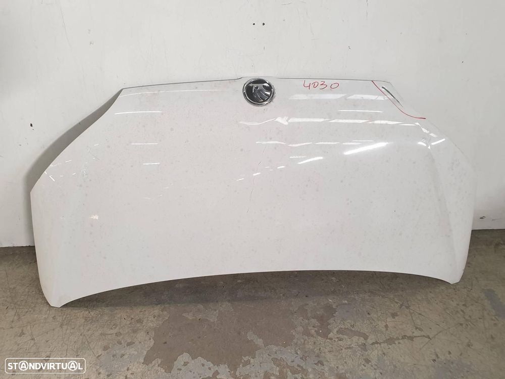 CAPÔ SKODA SIN DEFINIR - 1