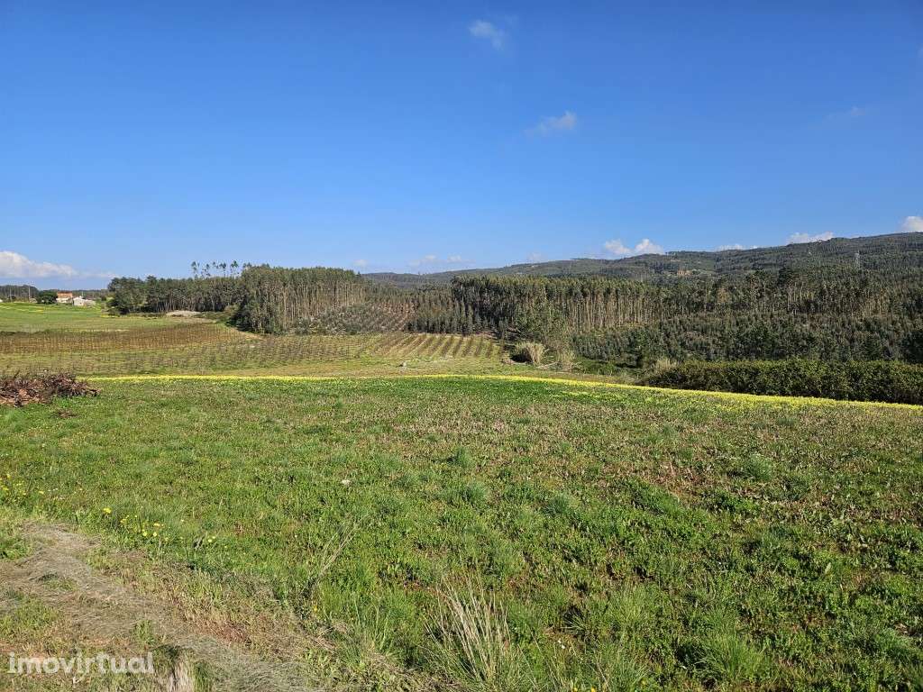 Terreno com PIP aprovado para empreendimento turístico | Serra de M... - Grande imagem: 5/5
