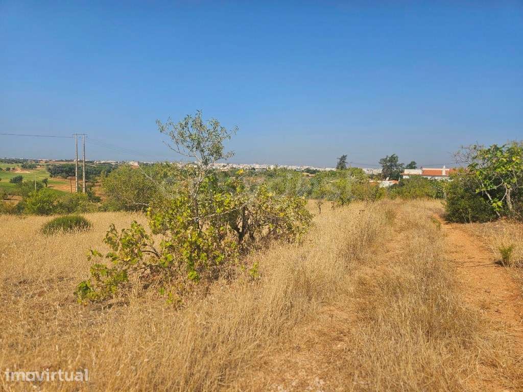 Terreno Rústico com 10.000 m² em Estômbar , Lagoa - Algarve - Grande imagem: 2/12