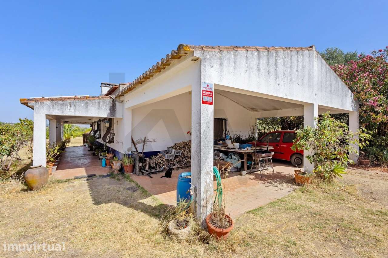 QUINTINHA DE 3250 M2 DE TERRENO COM HABITAÇÃO ZONA DE VIDIGUEIRA - Grande imagem: 4/32