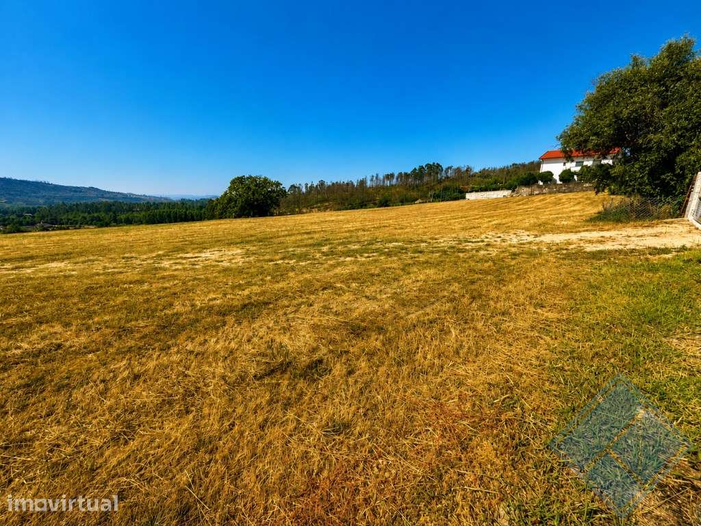 Oportunidade de Investimento | Terreno para Loteamento com Projeto ... - Grande imagem: 5/8