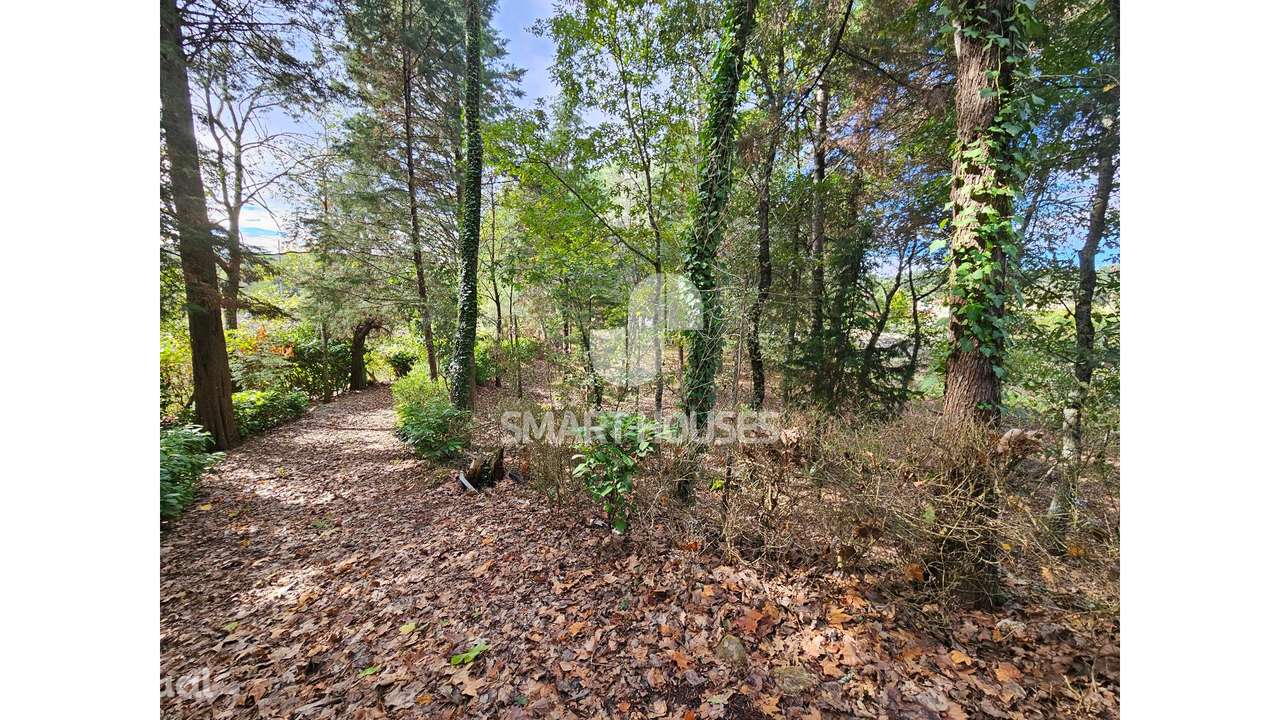 Quinta T1 Secarias junto rio Alva - Grande imagem: 2/32