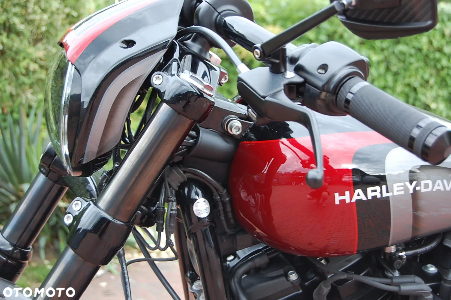 Harley-Davidson Softail - 5