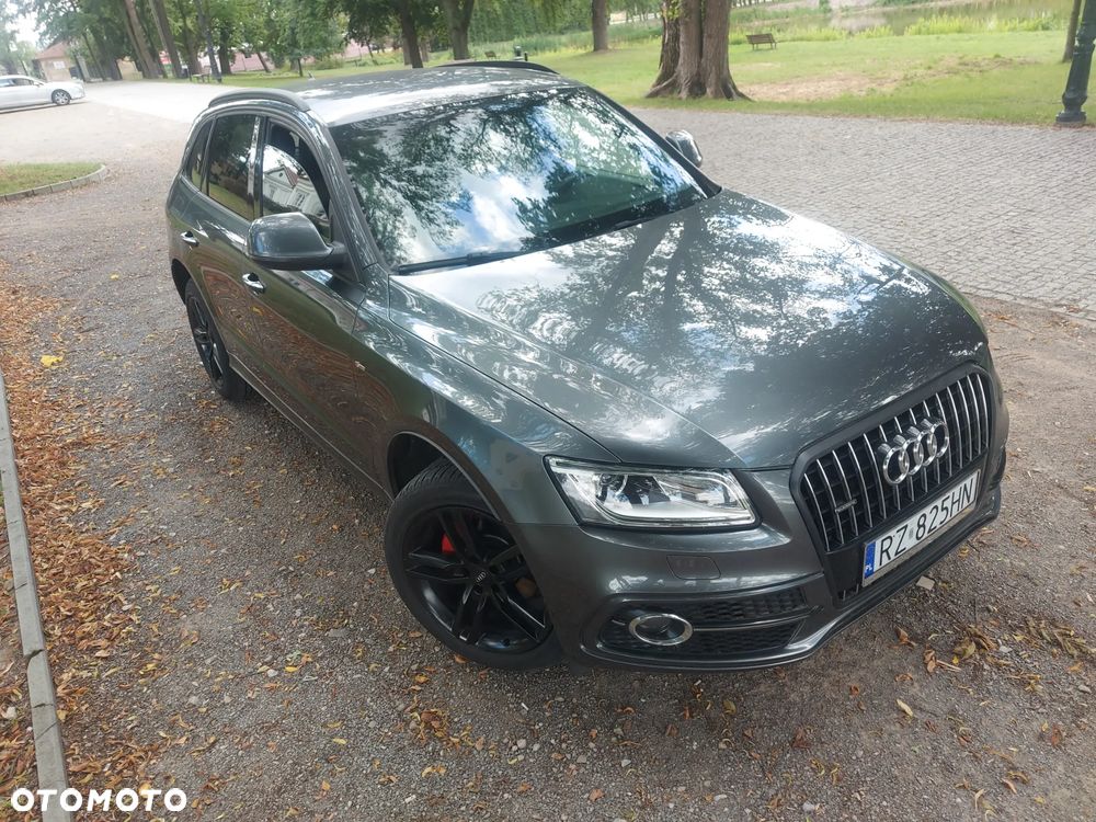 Audi Q5 2.0 TDI Quattro (clean diesel) - 13